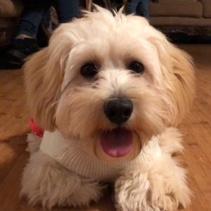 Meet your Posher, Karina